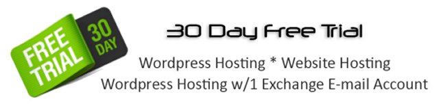 Try DNS Texas Hosting, Free For 30 Days