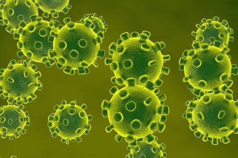 Coronavirus (Covid-19) Response
