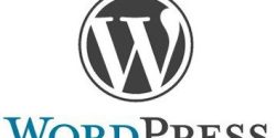 Prove Your Humanity Login Feature In WordPress